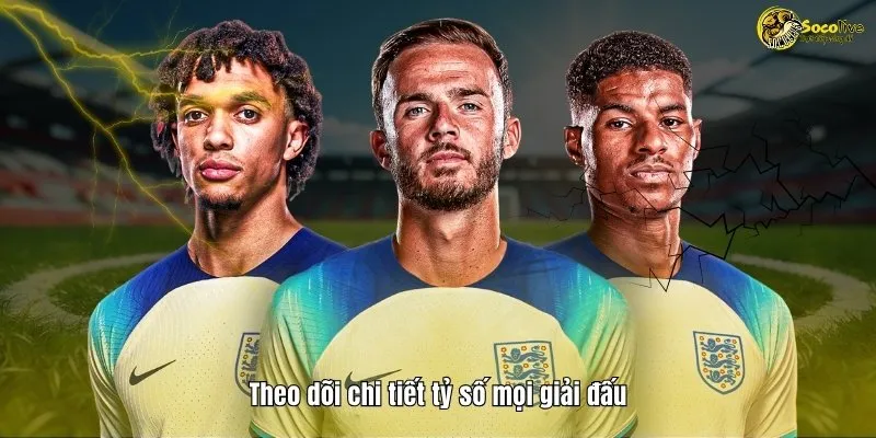 LIVESCORE 41 Theo dõi chi tiết tỷ số mọi giải đấu