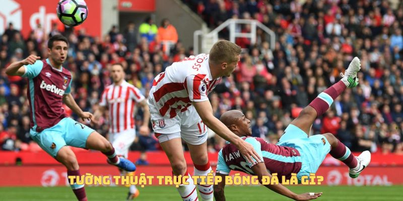 Tường Thuật Trực Tiếp Bóng Đá Là Gì? Vì Sao Ngày Càng Được Ưa Chuộng? 4 Tường thuật trực tiếp bóng đá Socolive